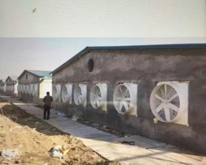 9I看片成人免费安裝現場
