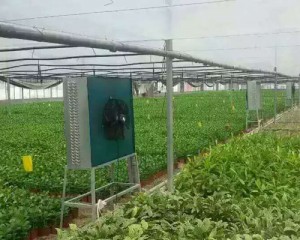 9I看片成人免费安裝現場