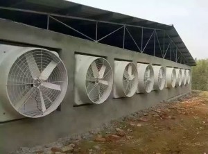 9I看片成人免费安裝現場