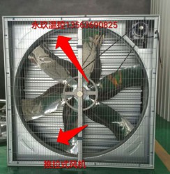 推拉式9I看片成人免费